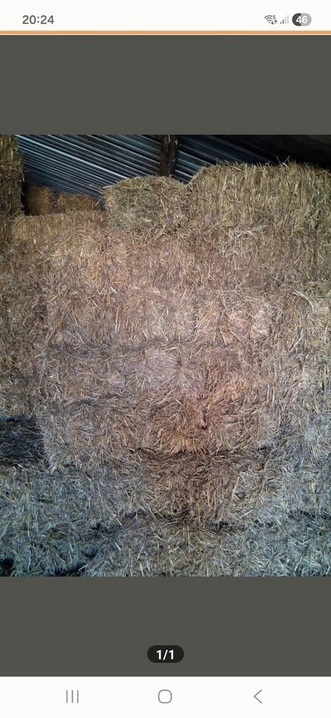 Kleine pakjes stro, Ophalen of Verzenden, Vee