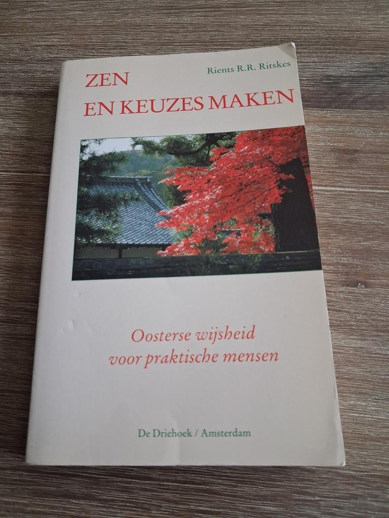 Rients R.R. Ritkens  Zen en keuzes maken  192 blz, Boeken, Ophalen