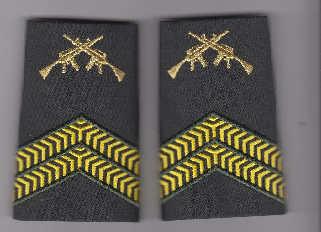 set rangen kpl 1 olk dt2000, Ophalen of Verzenden, Landmacht, Nederland, Embleem of Badge