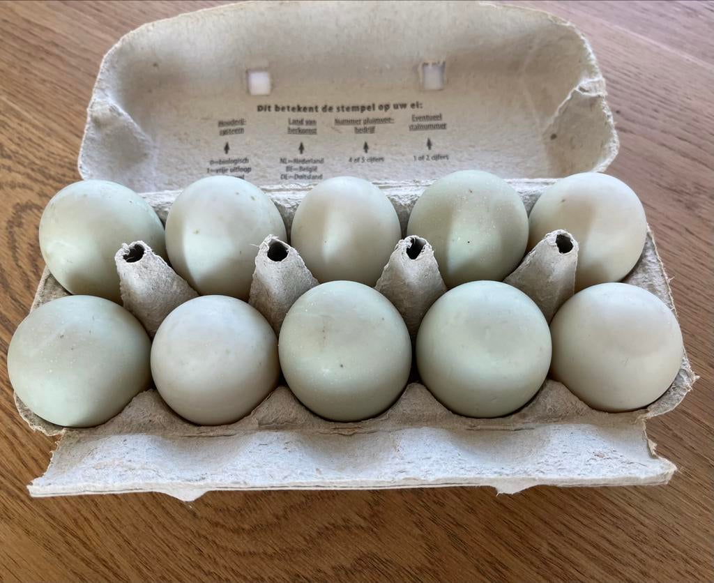 Verse eendeneieren, Diversen, Levensmiddelen, Ophalen