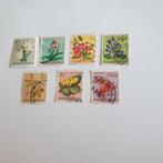 2534 congo flowers, Verzenden, Overige landen