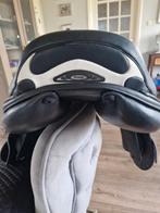 Prestige x perience luxe, Dieren en Toebehoren, Ophalen, Springen