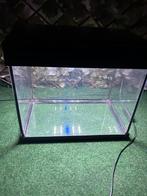 Superfish aquarium, Ophalen, Zo goed als nieuw, Leeg aquarium