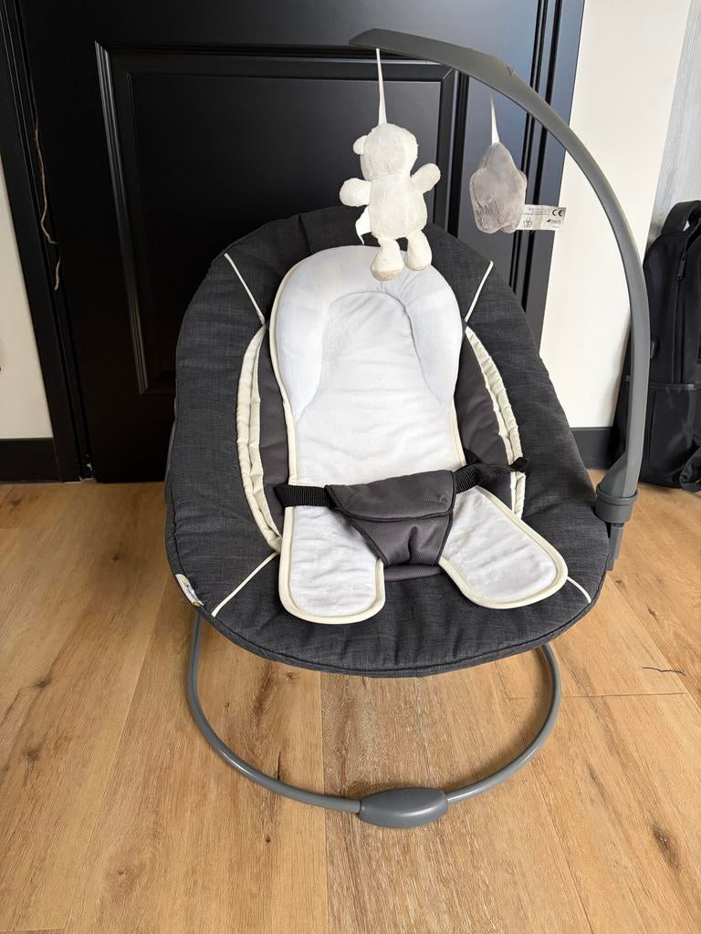 Hauck Alpha Bouncer Deluxe wipstoel, Wipstoel, Ophalen, Overige merken, Met gordel(s) of riempje(s)