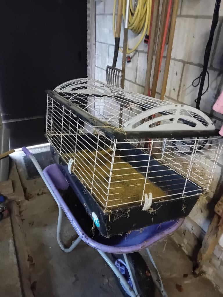 Konijnen hok te koop, Dieren en Toebehoren, 110 cm of meer, Zo goed als nieuw, Hok, Cavia