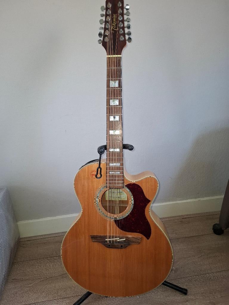 12 snarige Takamine, Ophalen, Gebruikt, Overige typen, 12-snarig