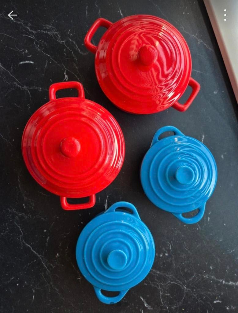 4 leuke serveer pannetjes, Ophalen of Verzenden, Zo goed als nieuw, Overige materialen