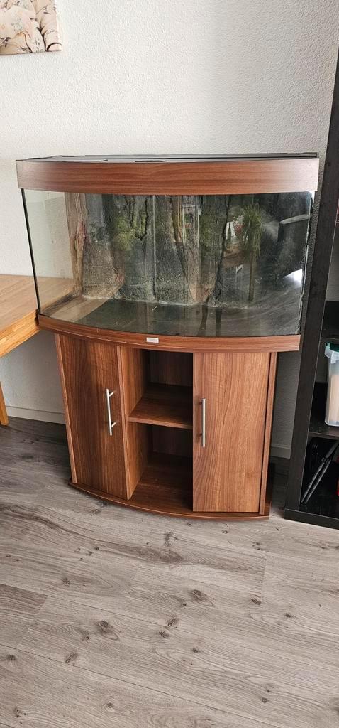 Juwel vision 180 te koop, Dieren en Toebehoren, Vissen | Aquaria en Toebehoren, Gebruikt, Leeg aquarium, Ophalen