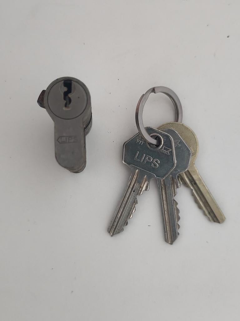 Lips cilinderslot met 3 sleutels, Ophalen of Verzenden, Gebruikt, Overige materialen, Slot