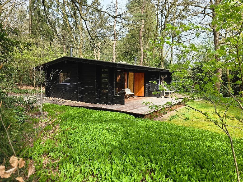 Scandinavische houten bungalow te huur in Meppen, Drenthe, Recreatiepark, Chalet, Bungalow of Caravan, Open haard, In bos