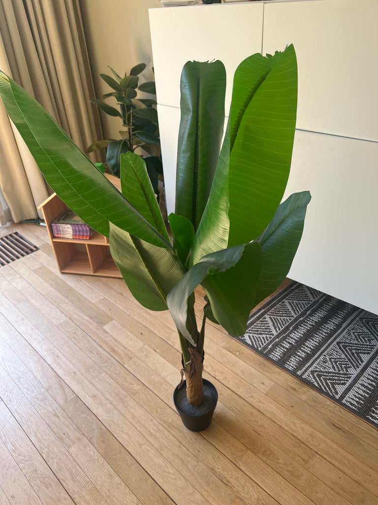 Grote Strelitzia Kunstplant - Realistisch en Onderhoudsvrij, Huis en Inrichting, Kamerplanten, 100 tot 150 cm, Overige soorten