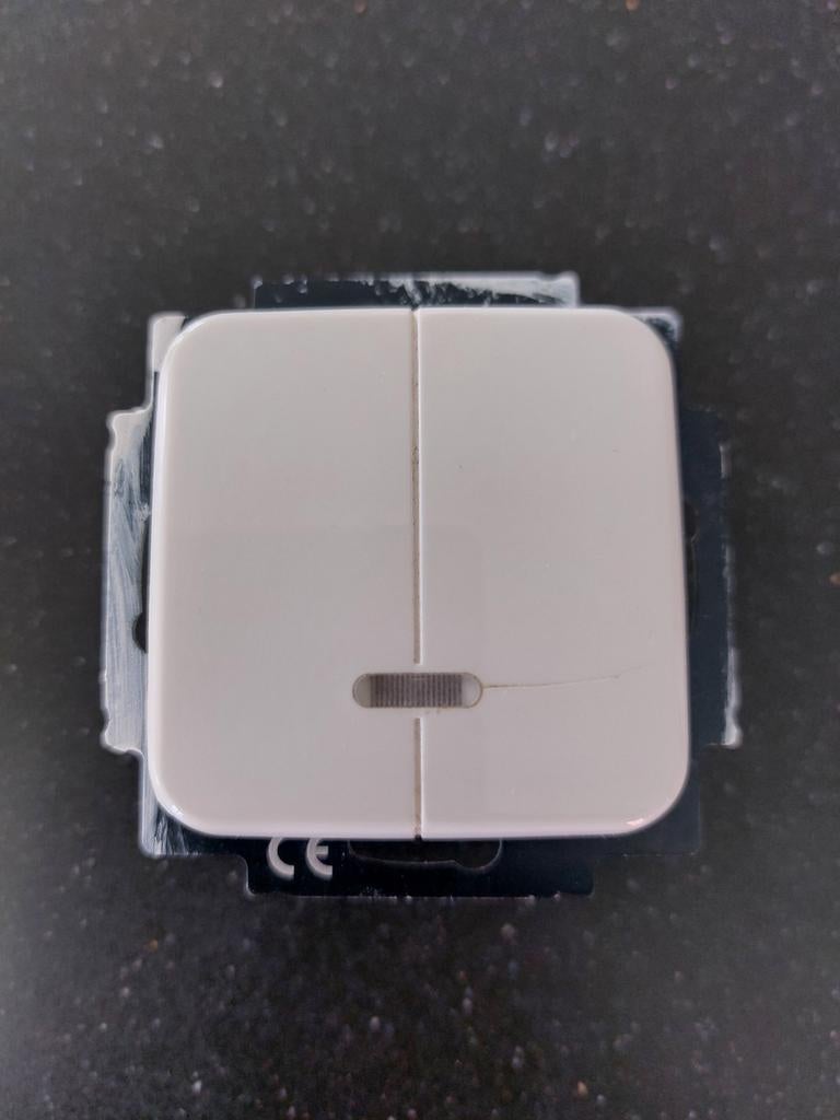 Busch-Jaeger dubbele dimmer 6565U 2x40-315W, Ophalen of Verzenden