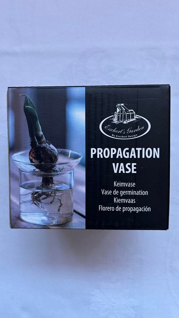 Glazen kiemvaas kiemset, Ophalen of Verzenden, Zo goed als nieuw, Overige typen