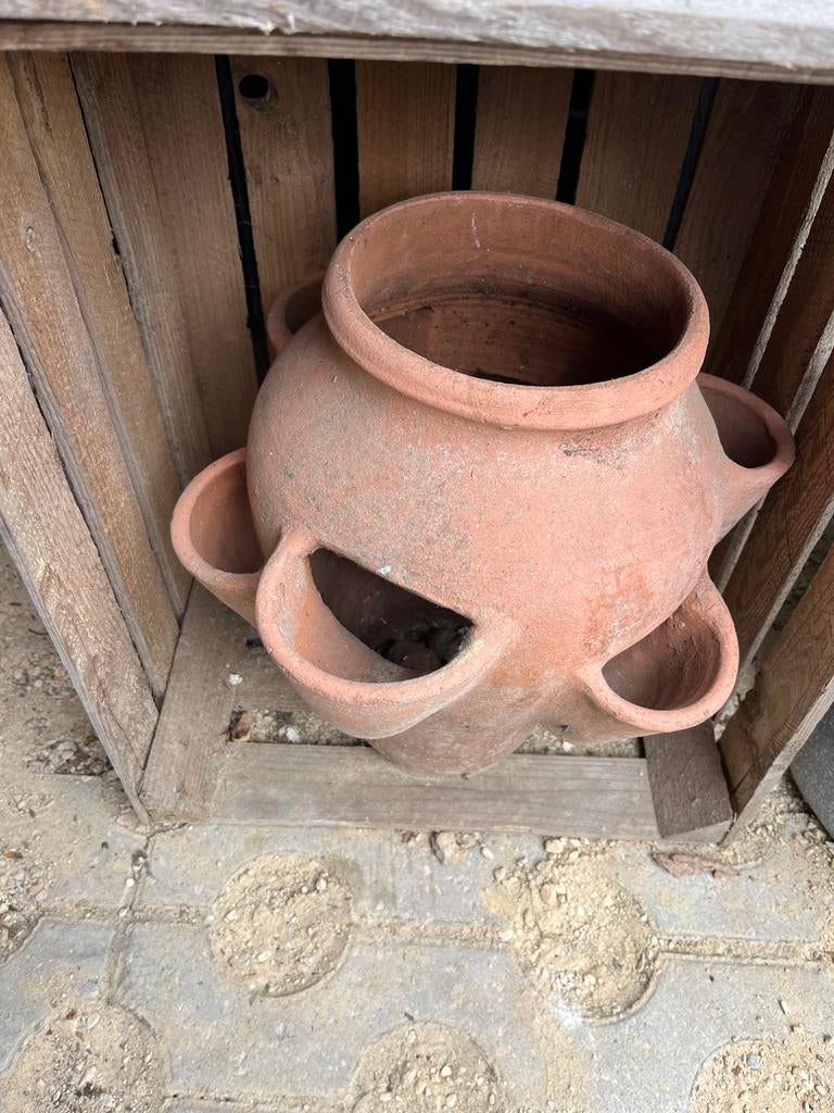 Aardbeienpot terracotta, Ophalen, Gebruikt
