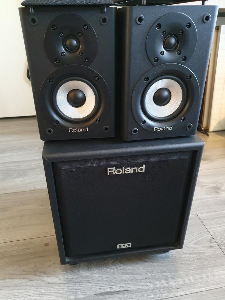 Roland CM 110, Muziek en Instrumenten, Versterkers | Bas en Gitaar, Ophalen of Verzenden, Zo goed als nieuw, Minder dan 50 watt