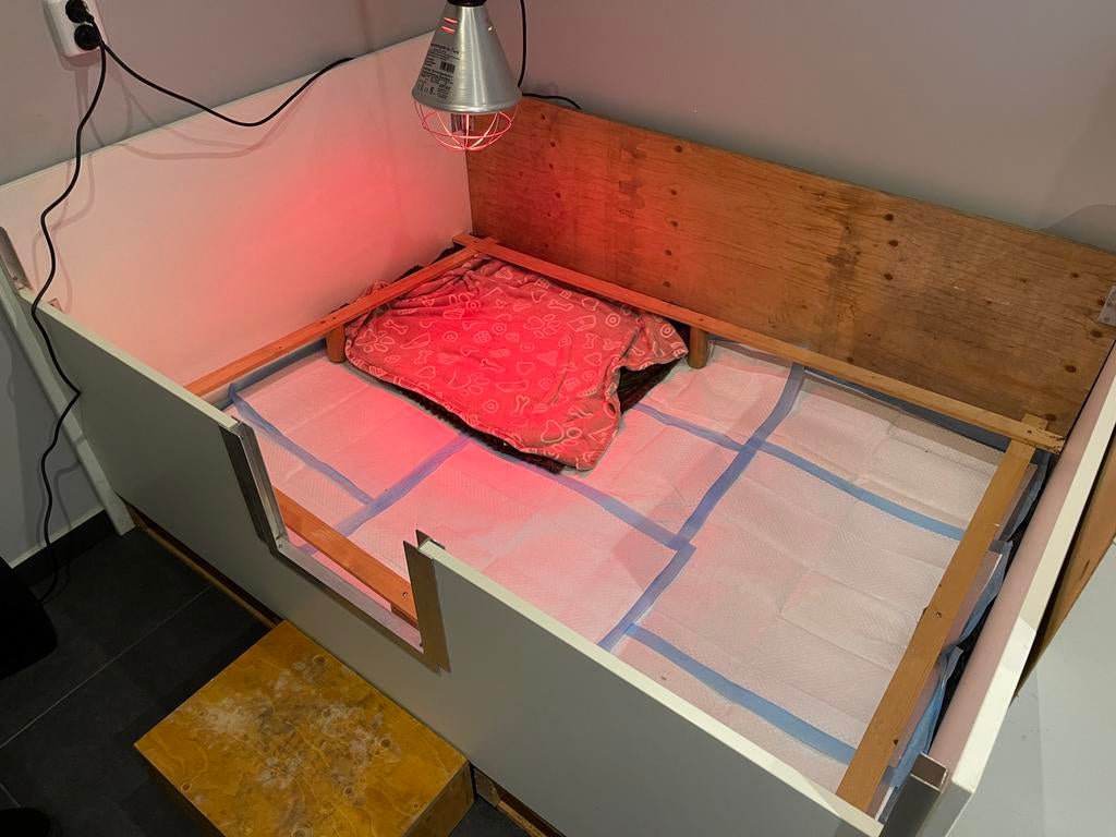 Werp kist grote hond, Dieren en Toebehoren, Ophalen of Verzenden, Zo goed als nieuw, 110 cm of meer