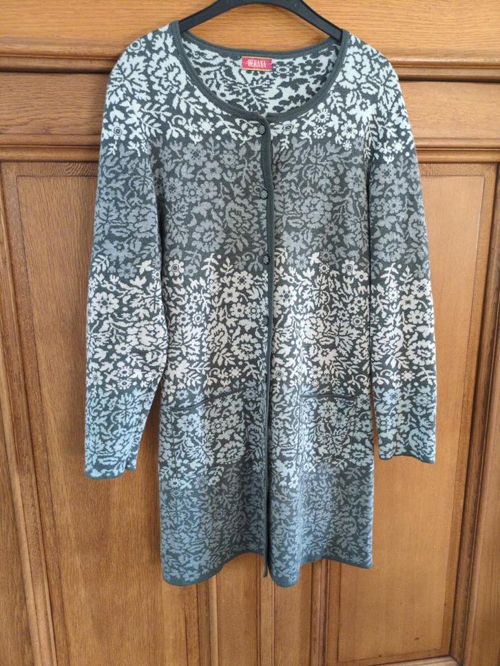 Oleana lang  folklore vest merinowol en zijde maat XL, Kleding | Dames, Truien en Vesten, Zo goed als nieuw, Maat 46/48 (XL) of groter