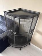 Papagaaien kooi, Dieren en Toebehoren, Vogels | Parkieten en Papegaaien, Mannelijk, Papegaai