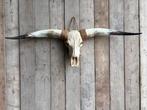 Mooie stoere XL longhorn schedel!, Ophalen, Nieuw, Overige soorten, Schedel
