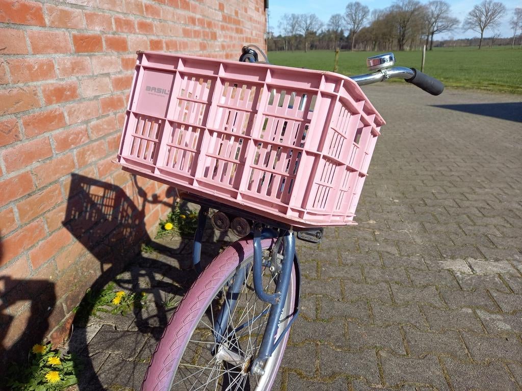 Alpina meidenfiets 24 inch, Ophalen, Gebruikt