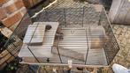 Twee hamsters kooien, Dieren en Toebehoren, Kooi, Minder dan 75 cm, Zo goed als nieuw, Ophalen