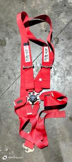 6 punt gordels, Auto diversen, Autosport-onderdelen, Ophalen of Verzenden