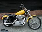 Super nette XL 883 C Sportster Custom / XL883, Chopper, Bedrijf, 883 cc, Meer dan 35 kW