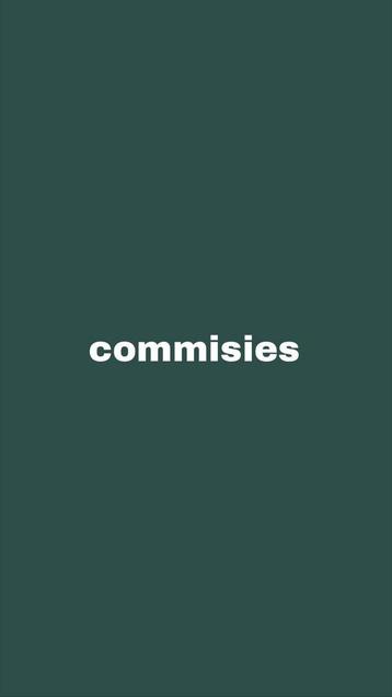 Hobbyhorses op bestelling  beschikbaar voor biedingen