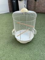Kooi + vogel, Dieren en Toebehoren, Vogels | Parkieten en Papegaaien, Meerdere dieren, Parkiet