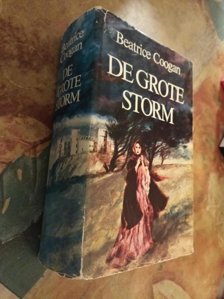 Coogan, Beatrice - De grote storm, Boeken, Historische romans, Gelezen, Ophalen of Verzenden
