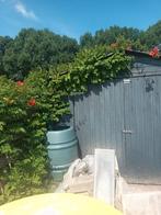 Tuinhuisje/Schuur - Zelf Demonteren, Ophalen, Gebruikt, Hout, Overige typen