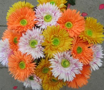 ASTERS - KUNST - 3 KLEUREN beschikbaar voor biedingen