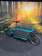 NIEUWE Cube Cargo hybrid 500 bakfiets incl. accessoires, Overige merken, Ophalen of Verzenden, 2 kinderen, Nieuw