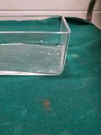 bak glas rechthoekig, Ophalen of Verzenden, 'T Olde Gre-j, Info@toldegrej.nl, Endepoelstraat 20f Didam