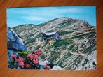 Ansichtkaart Oostenrijk Monte Baldo 21231, Ophalen of Verzenden, Oostenrijk