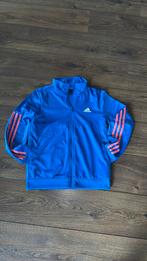 Adidas vest maat 152, Adidas, Meisje, Trui of Vest, Ophalen of Verzenden