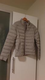 jas van Cotton Club, Kleding | Dames, Jassen | Zomer, Ophalen of Verzenden, Zo goed als nieuw, Grijs, Maat 34 (XS) of kleiner