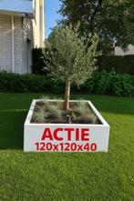 Actie!! Plantenbakken 120x120x40 Wit Zwart, Tuin en Terras, Bloembakken en Plantenbakken, Info@plantenbakkenvanstaal.nl, Plantenbakken van Staal