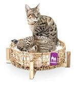 Patrij van 10 Petrebels kattenmand, Dieren en Toebehoren, Ophalen of Verzenden, Nieuw