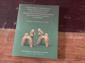 Leanne Shapton, Roman in de vorm van veilingcatalogus Doolan beschikbaar voor biedingen