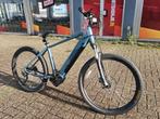 Fietshokje Beverwijk: Telus Nova Elektrische MTB, Hardtail, Heren, Niet ingevuld, Nieuw