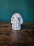 Skull fossiel koraalsteen, Verzamelen, Verzenden, Fossiel