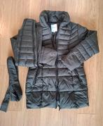 Winterjas zwangerschap, Kleding | Dames, Positiekleding, Ophalen of Verzenden, Zo goed als nieuw, Groen