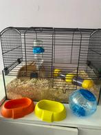 Hamster kooi met speelgoed, Ophalen of Verzenden, Minder dan 75 cm, Kooi, Minder dan 60 cm