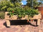 Witlof bak als houten bloembak, Tuin en Terras, Bloembakken en Plantenbakken, Gebruikt, Verzenden, Binnen, Rechthoekig