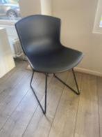 Knoll Bertoia Plastic Side Chair, Kunststof, Zo goed als nieuw, Eén, Zwart