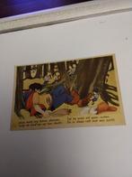 WILLY SCHERMELEE. klein Duimpje, Verzamelen, Ophalen of Verzenden, 1940 tot 1960, Sterren en Beroemdheden