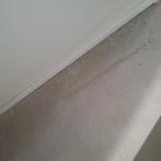 Laminaat/pvc/tapijt   verwijderen en afvoeren, Ophalen of Verzenden, Zo goed als nieuw, 75 m² of meer, Laminaat