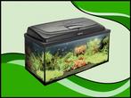 Gezocht aquarium 60x30x30 compl ruilen tegen garnalen/plante, Dieren en Toebehoren, Vissen | Aquaria en Toebehoren, Ophalen, Zo goed als nieuw