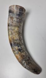 Koehoorn, Ophalen of Verzenden, Nieuw, Beeldje of Figuurtje